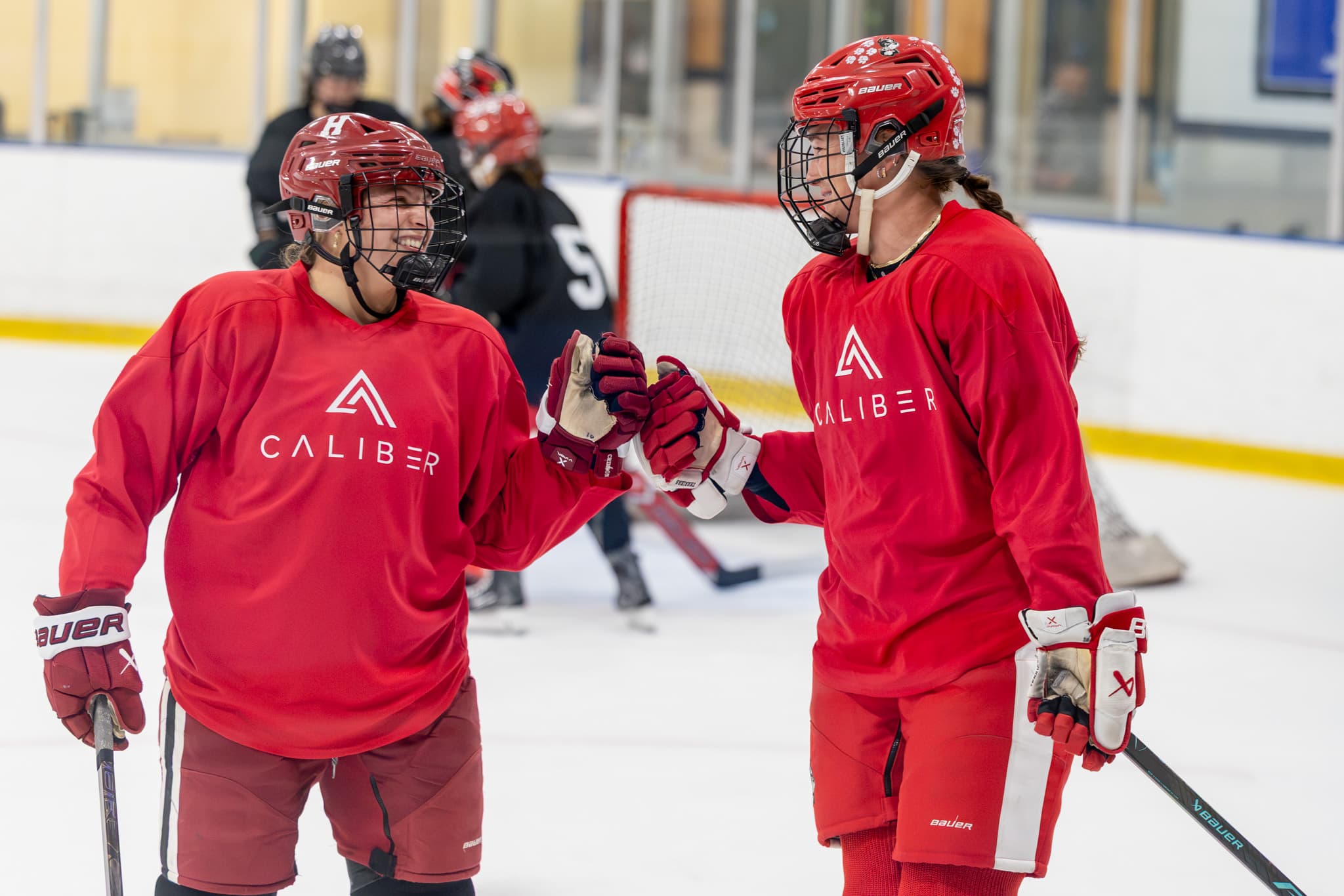 The Save — youth ice hockey, Regional Semifinal